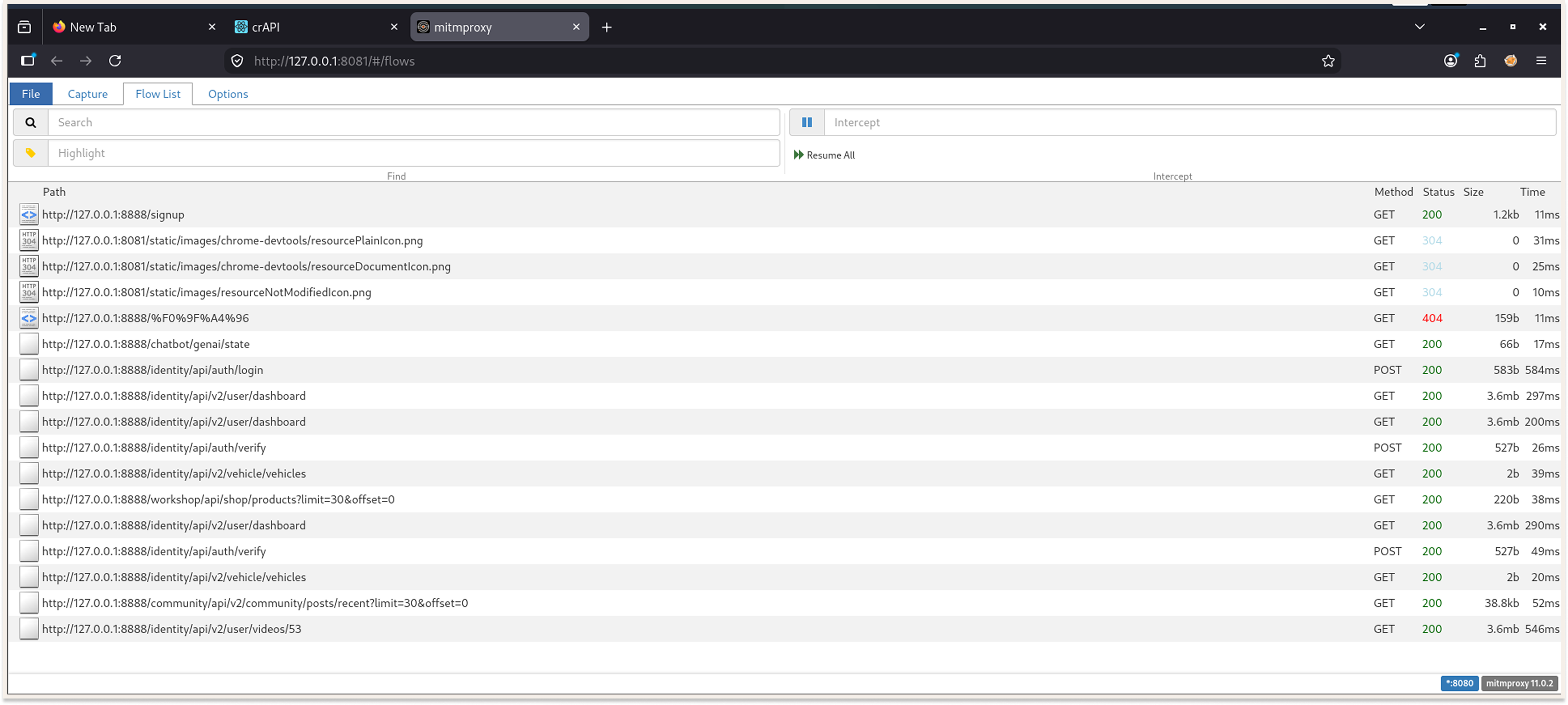 mitmweb-view